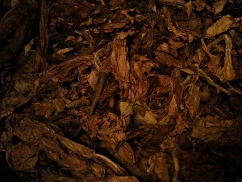 tl_files/content/Tabakprobe aus Goerlitz.jpg